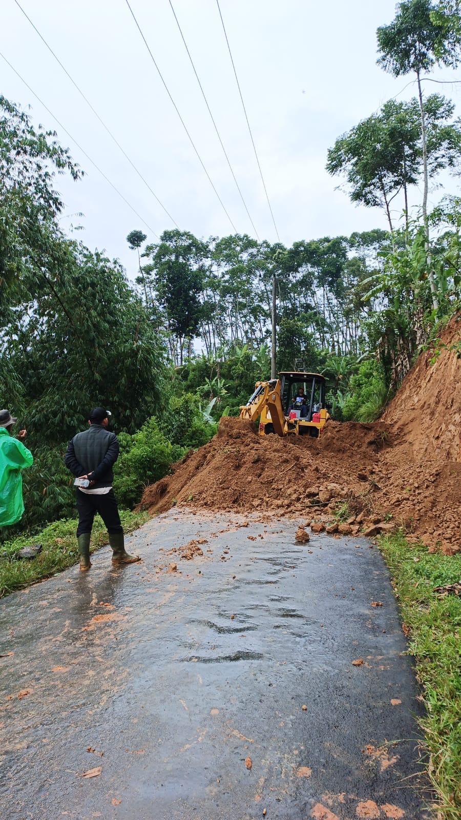 Diduga Akibat Hujan Deras Disertai Angin, Tebing Longsor di Desa Cipetey Kabandungan