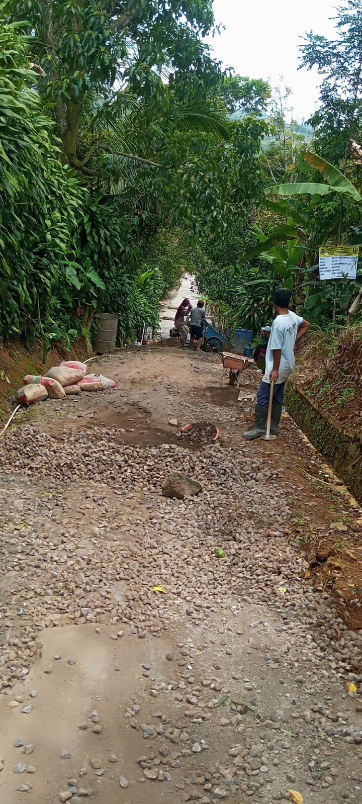 Warga Apresiasi Banprop Desa Sukadamai Di Alokasikan Ke Ruas Jalan Cibungur Puncak Madura